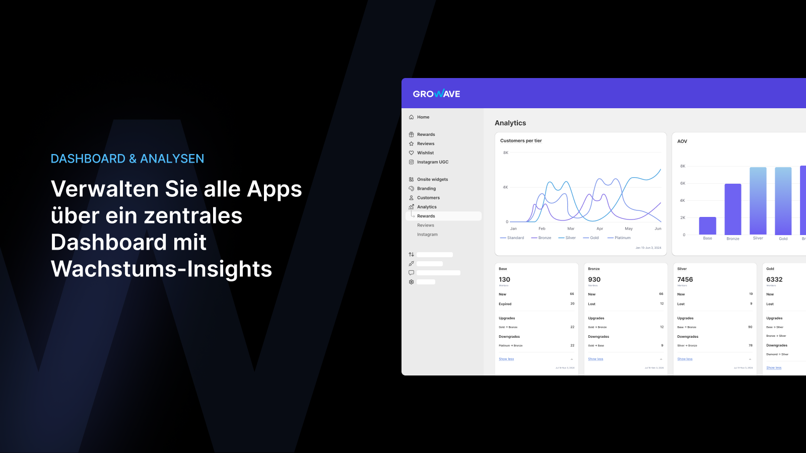 Dashboard & Analysen