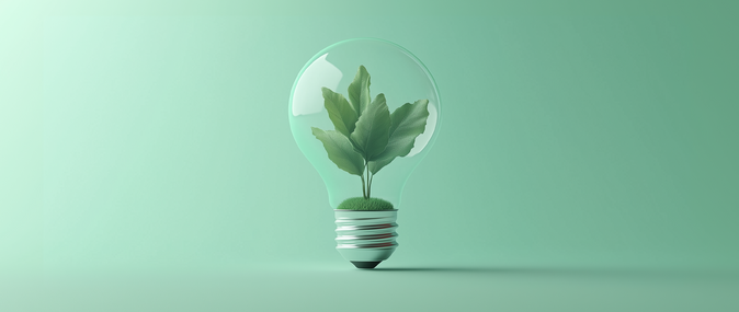 A plant with grass growing inside of a lightbulb representing sustainability: sustainable branding